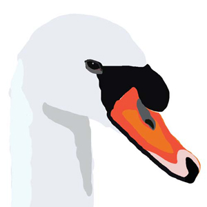 Mute swan - digital art by Liz Wingham